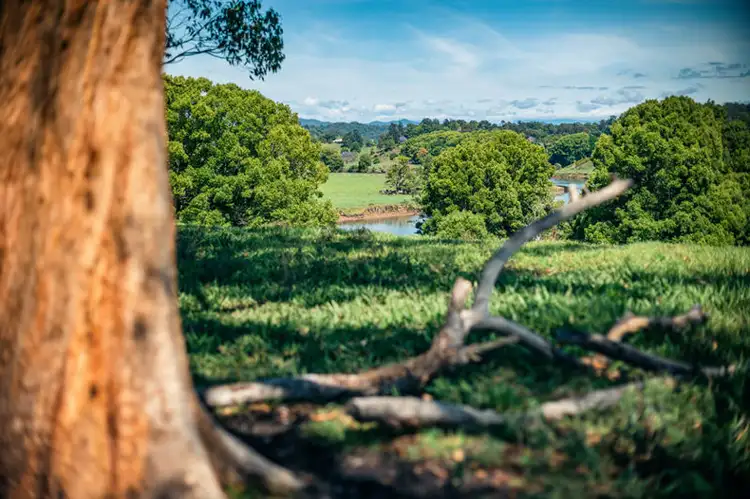 Seventh view of Homely land listing, 700 North Bank Road, Bellingen NSW 2454