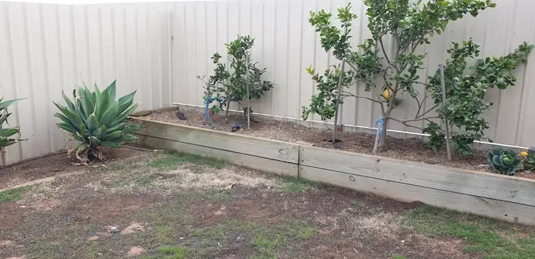 Seventh view of Homely house listing, Lot 6 McQuarrie Street, Murray Bridge SA 5253