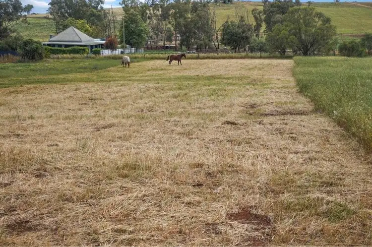 Lot 4 Knight Street, Junee NSW 2663