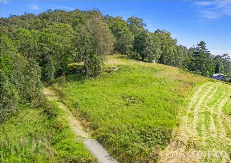 Third view of Homely house listing, 10 Priests Ridge Road, Cedar Brush Creek NSW 2259