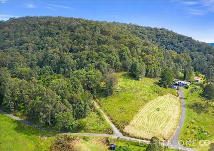 Seventh view of Homely house listing, 10 Priests Ridge Road, Cedar Brush Creek NSW 2259