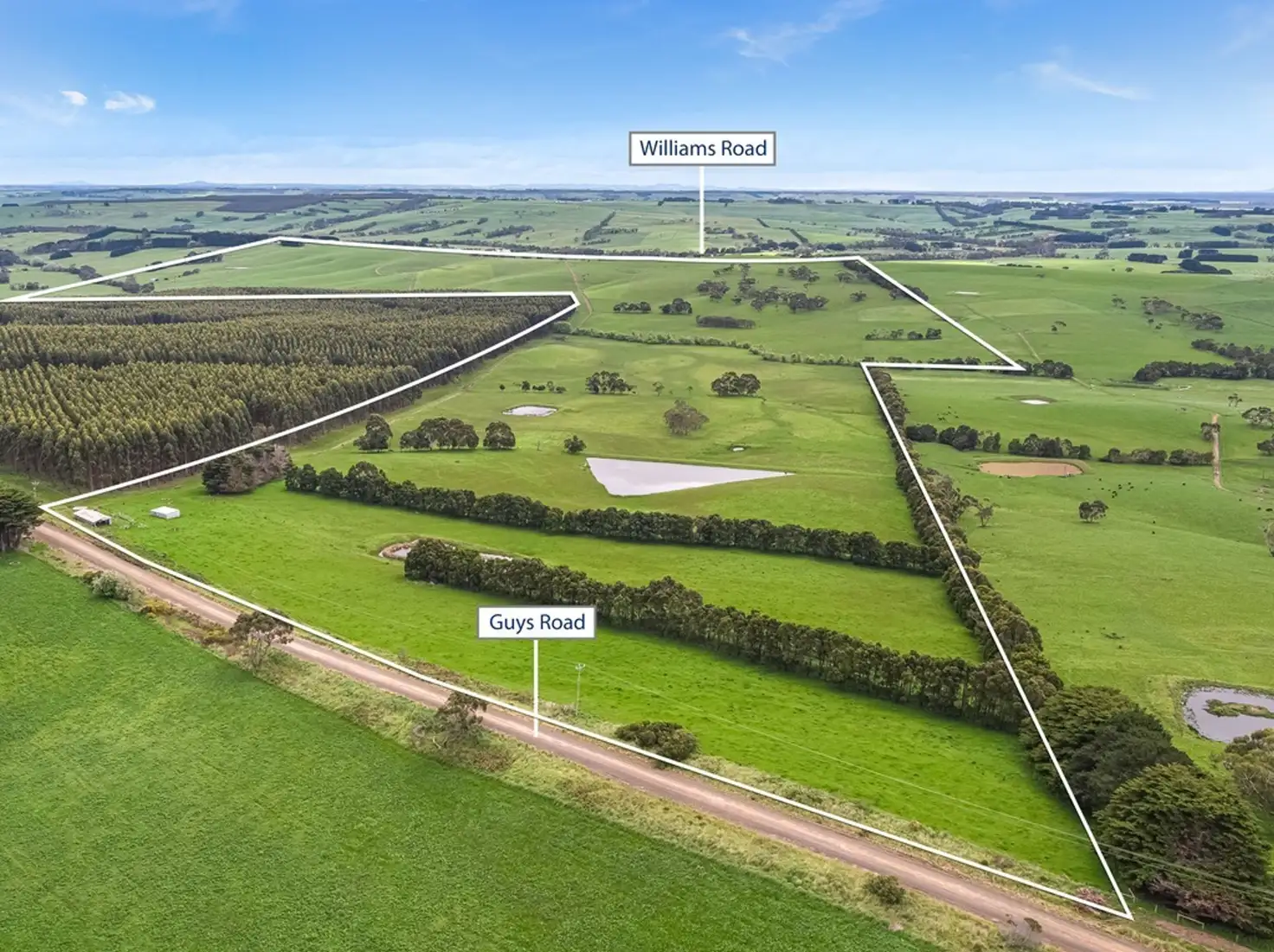 Main view of Homely rural property listing, 960 Williams Road, Simpson VIC 3266
