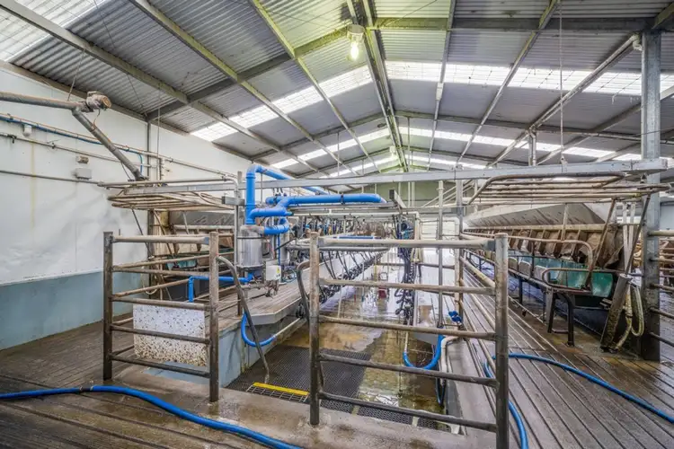 Third view of Homely rural property listing, 960 Williams Road, Simpson VIC 3266