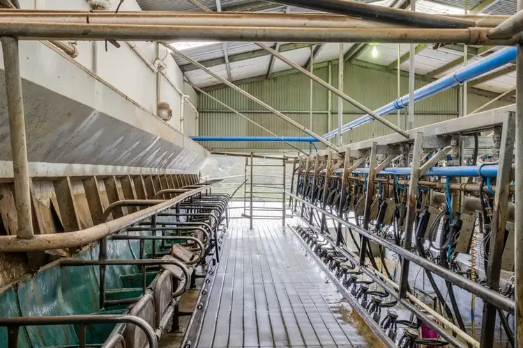 Fourth view of Homely rural property listing, 960 Williams Road, Simpson VIC 3266