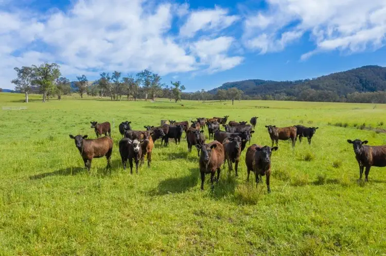 Third view of Homely rural property listing, 5816 Oxley Highway, Ellenborough NSW 2446