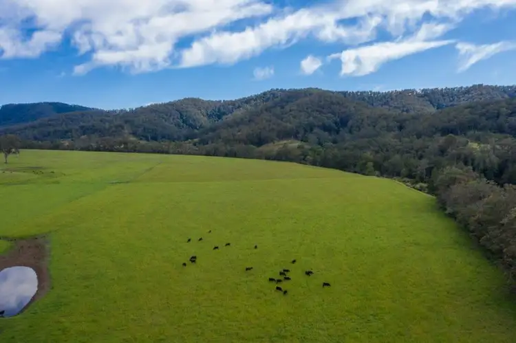 Fourth view of Homely rural property listing, 5816 Oxley Highway, Ellenborough NSW 2446