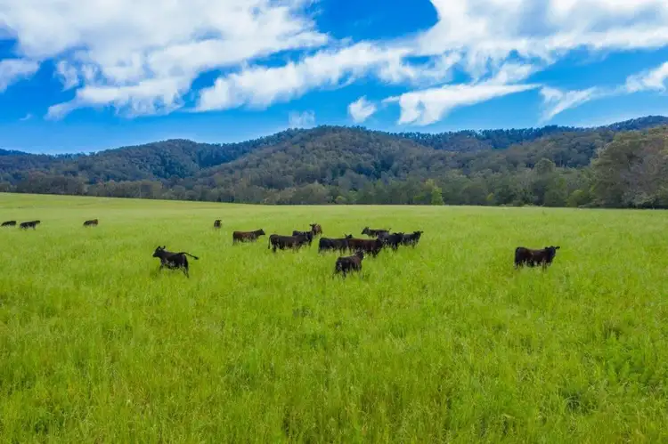 Fifth view of Homely rural property listing, 5816 Oxley Highway, Ellenborough NSW 2446