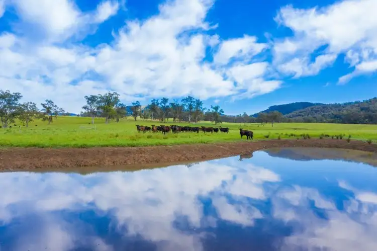 Sixth view of Homely rural property listing, 5816 Oxley Highway, Ellenborough NSW 2446