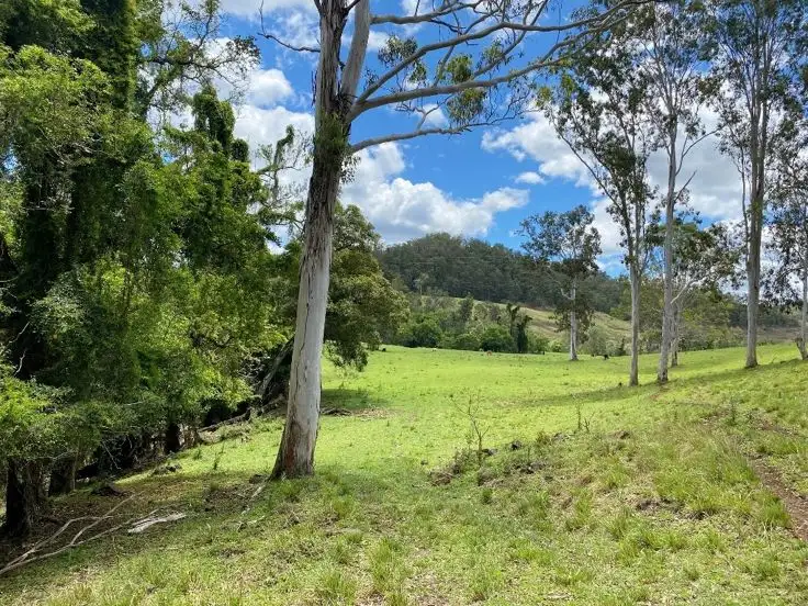 Main view of Homely rural property listing, LOT 6 Afterlee Road - Afterlee, Kyogle NSW 2474