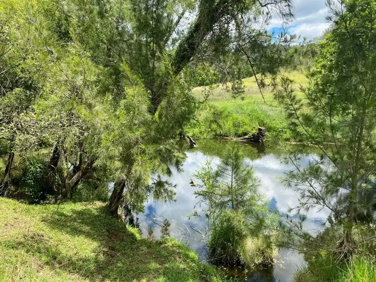 Fourth view of Homely rural property listing, LOT 6 Afterlee Road - Afterlee, Kyogle NSW 2474