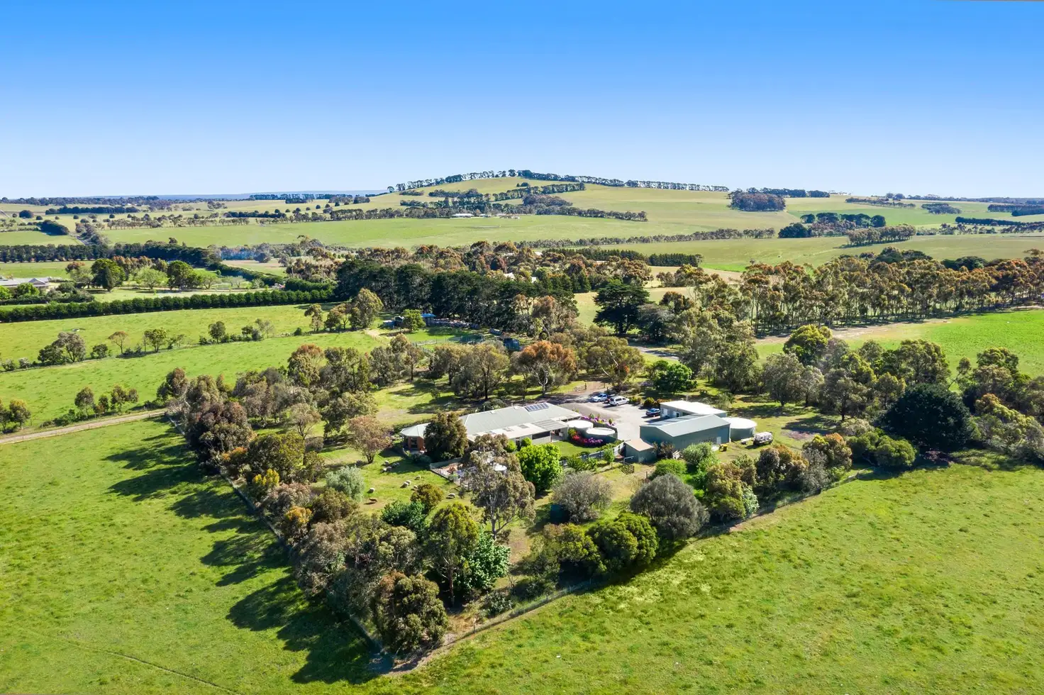 Main view of Homely rural property listing, 115 Hendy Main Road, Gnarwarre VIC 3221