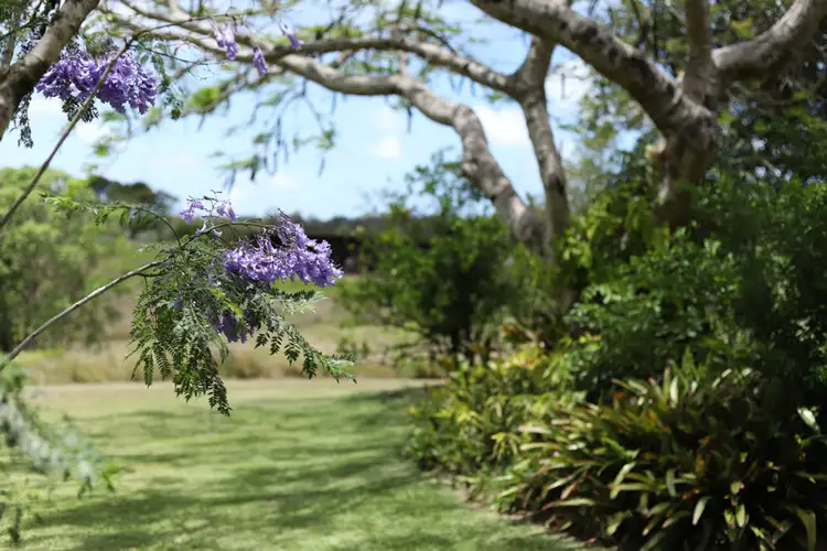 Third view of Homely house listing, 611-613 Diddillibah Road, Diddillibah QLD 4559