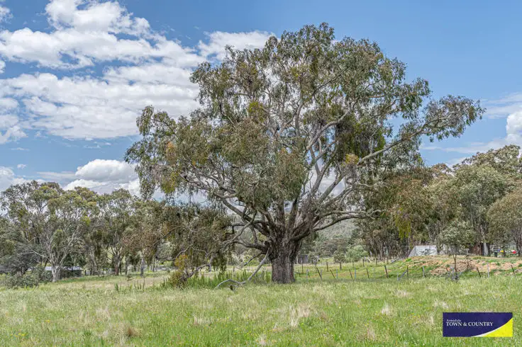 Fifth view of Homely land listing, 17 Invergowrie Road, Armidale NSW 2350