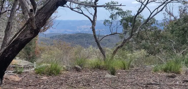 Fourth view of Homely rural property listing, 1330 Mount McKenzie Road, Tenterfield NSW 2372