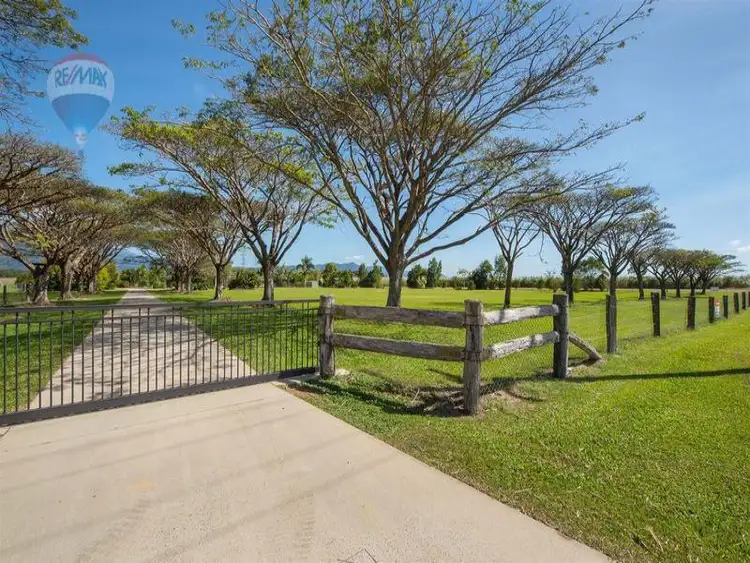 Fifth view of Homely rural property listing, 165 Redbank Road, Gordonvale QLD 4865