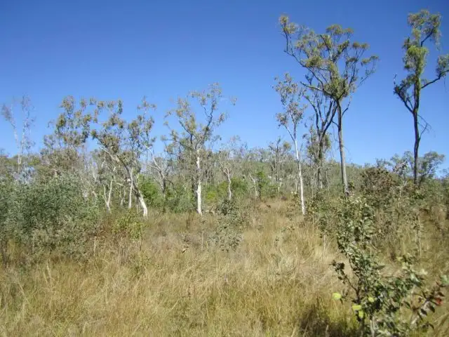 Seventh view of Homely land listing, LOT 12 LELONA DRIVE, Bloomsbury QLD 4799