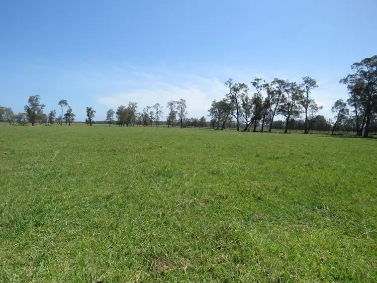 Fifth view of Homely rural property listing, Lot 133 Old Station Road, Verges Creek NSW 2440