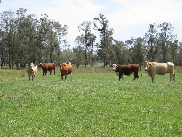 Sixth view of Homely rural property listing, Lot 133 Old Station Road, Verges Creek NSW 2440