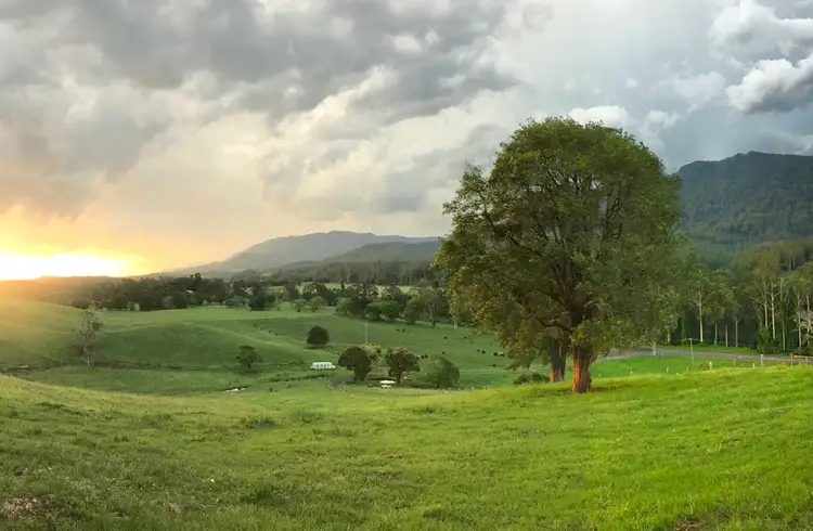 Main view of Homely house listing, 2165 Waterfall Way, Thora NSW 2454