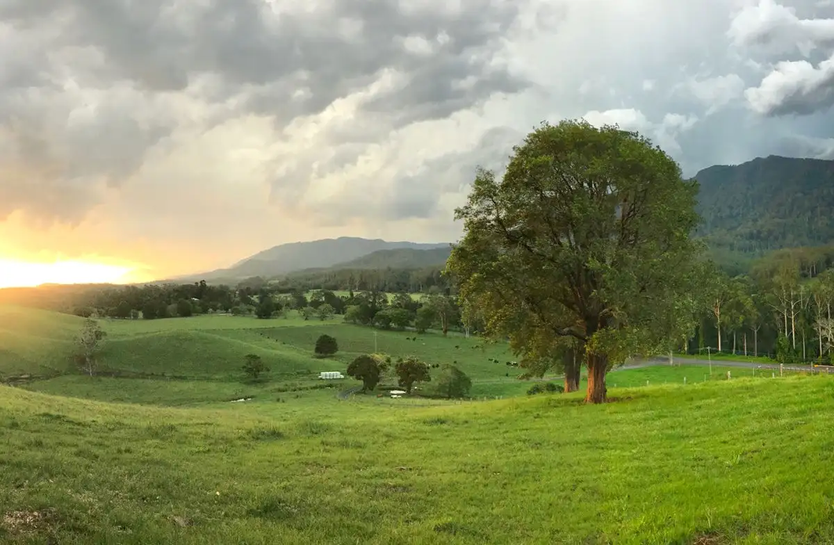 Main view of Homely house listing, 2165 Waterfall Way, Thora NSW 2454