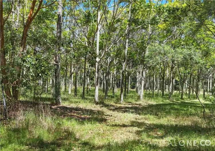 Fourth view of Homely house listing, 113 Yorky Waters Road, Kulnura NSW 2250