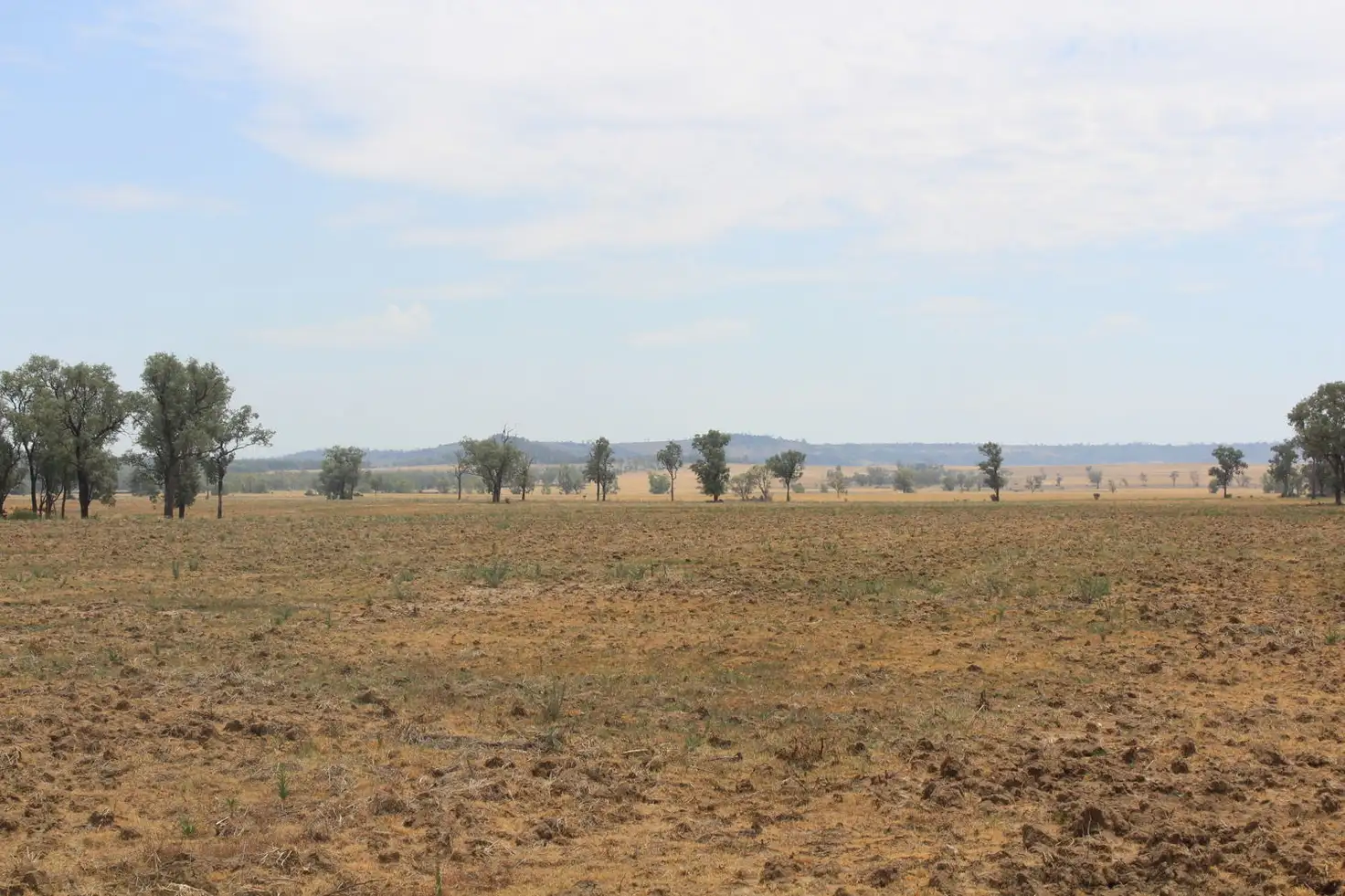 Main view of Homely rural property listing, "Flaggy Creek", Warialda NSW 2402