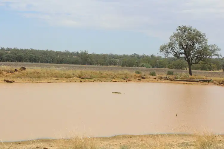Second view of Homely rural property listing, "Flaggy Creek", Warialda NSW 2402