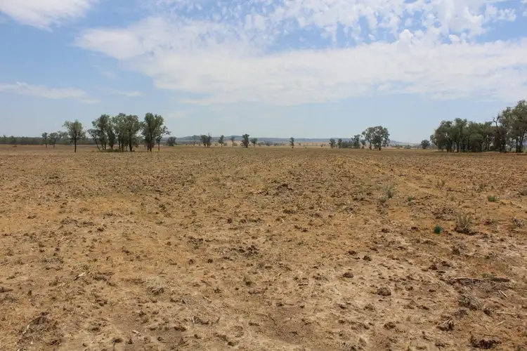 Third view of Homely rural property listing, "Flaggy Creek", Warialda NSW 2402