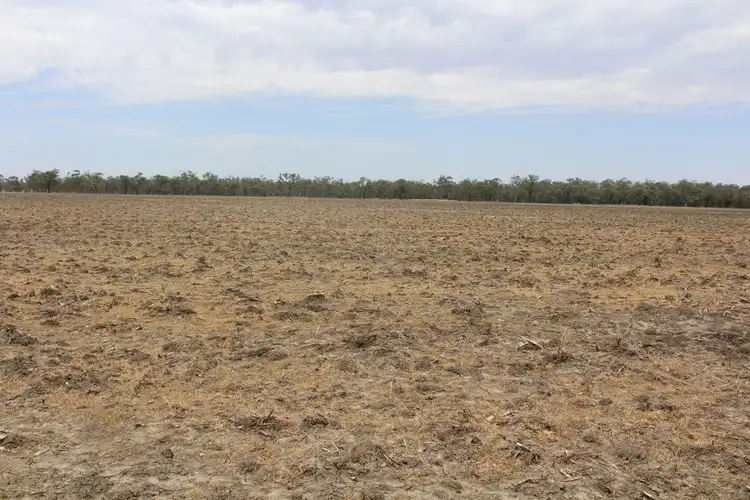 Fourth view of Homely rural property listing, "Flaggy Creek", Warialda NSW 2402