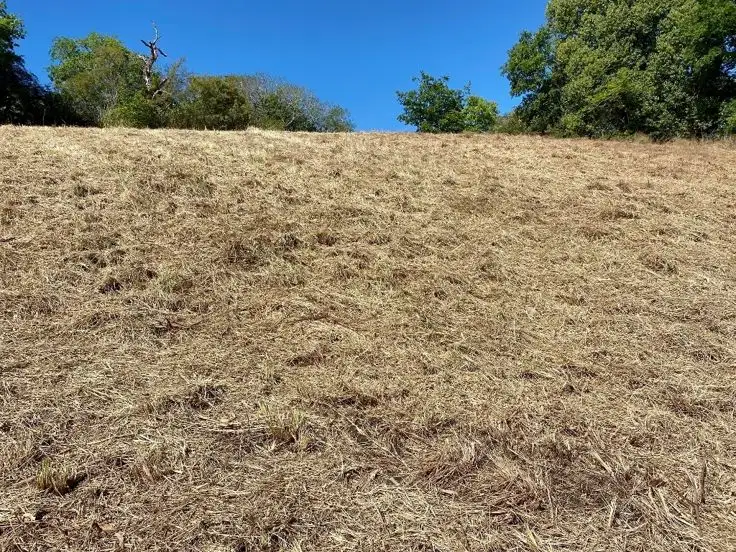 Sixth view of Homely land listing, 3 Boorabee Street, Kyogle NSW 2474