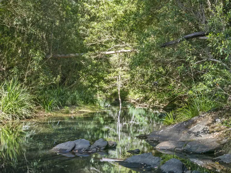 Main view of Homely house listing, 1938 Kalang Road, Bellingen NSW 2454