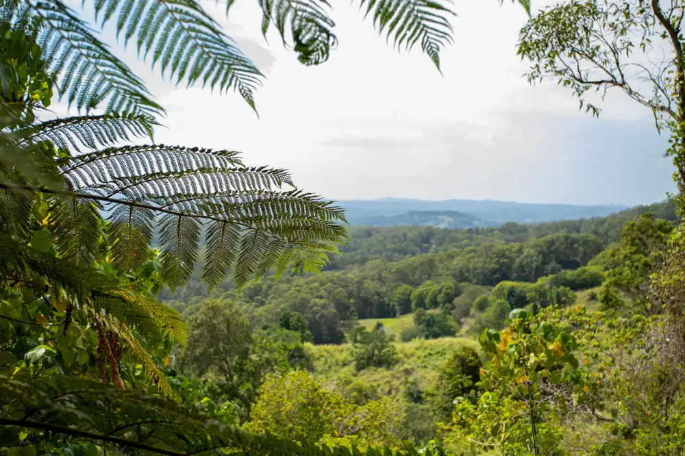Main view of Homely land listing, 47-65 Thompson Road, Dulong QLD 4560