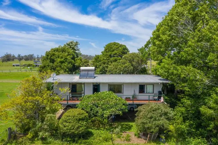 Third view of Homely rural property listing, 219 Menarcobrinni Rd, Clybucca NSW 2440