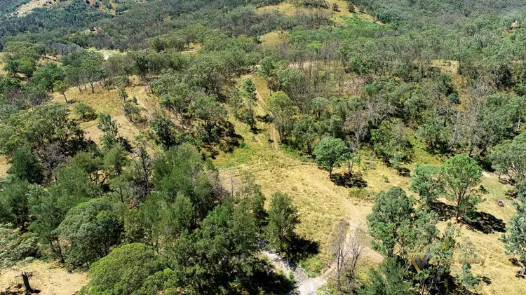 Main view of Homely land listing, 4225 Halls Creek Road, Halls Creek NSW 2346