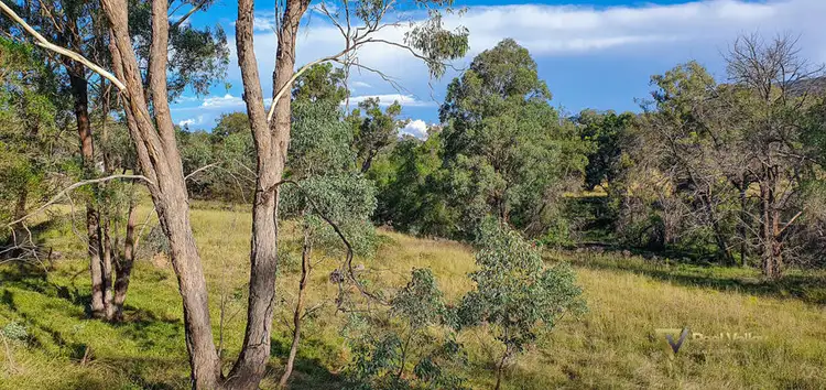 Seventh view of Homely land listing, Lot 2 Halls Creek Road, Halls Creek NSW 2346