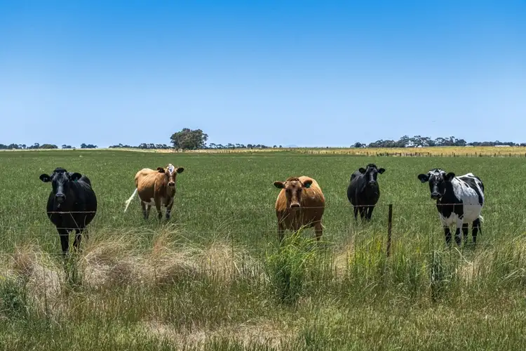 Third view of Homely rural property listing, 1587 Colac-Ballarat Road, Beeac VIC 3251