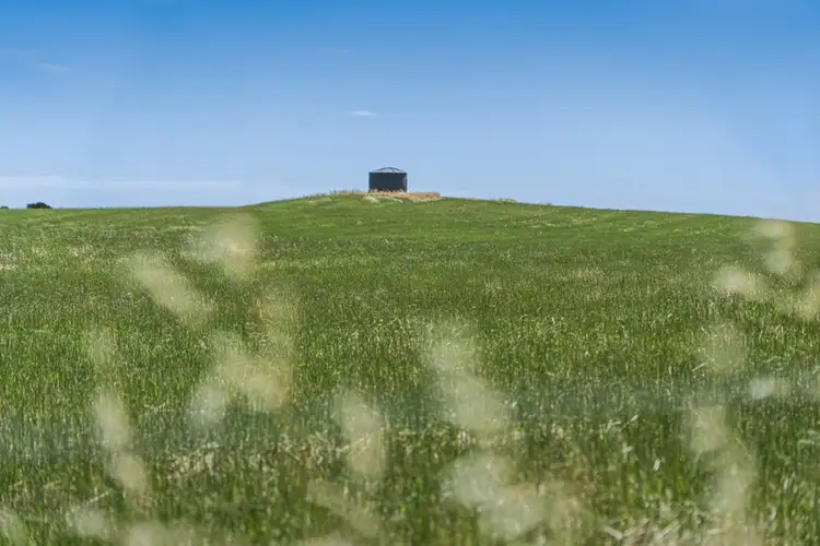 Sixth view of Homely rural property listing, 1587 Colac-Ballarat Road, Beeac VIC 3251