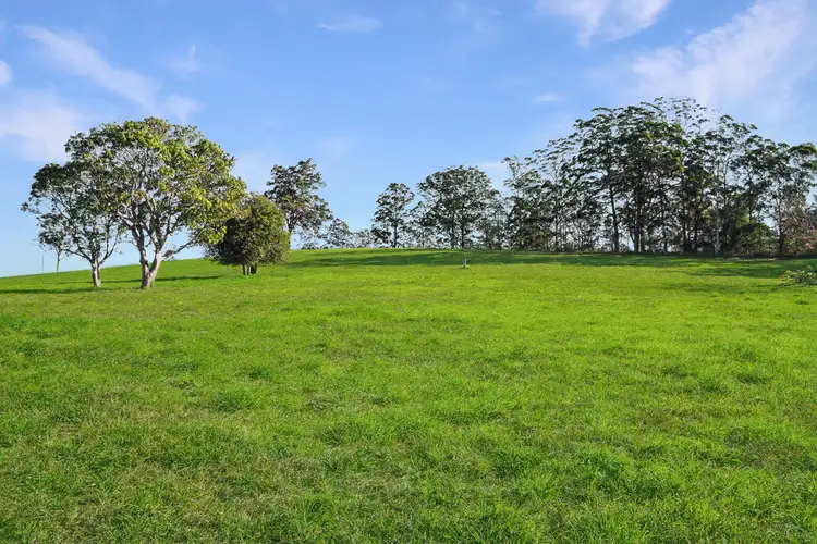 Second view of Homely rural property listing, 10 Darkwood Road, Thora, Bellingen NSW 2454