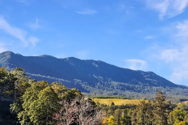 Fifth view of Homely rural property listing, 10 Darkwood Road, Thora, Bellingen NSW 2454