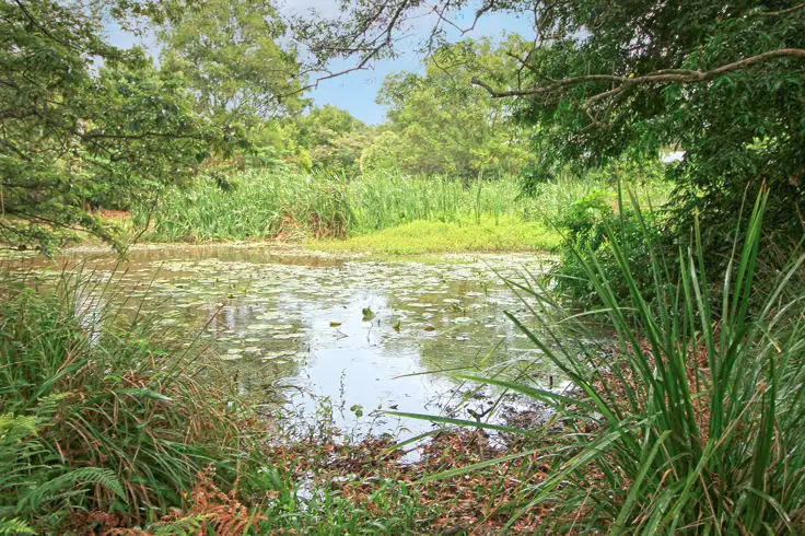 Fourth view of Homely land listing, 22 Cedar Grove Court, Maleny QLD 4552