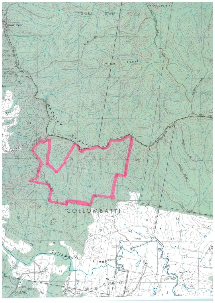 Third view of Homely rural property listing, Lot 592 Briggs Tower Rd, Tamban NSW 2441