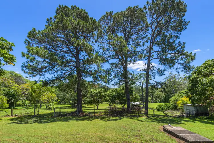 Fifth view of Homely rural property listing, 134 Newmans Road, Woolgoolga NSW 2456