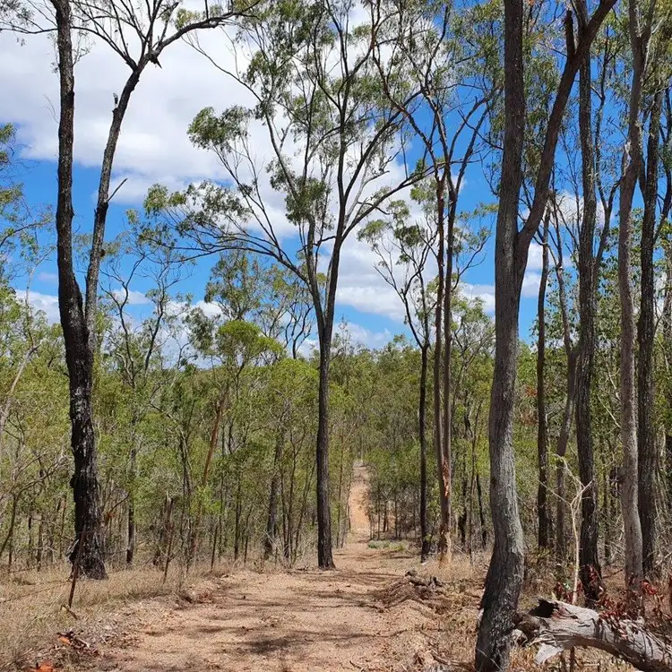 Seventh view of Homely rural property listing, 113 Cross Road, Euleilah QLD 4674