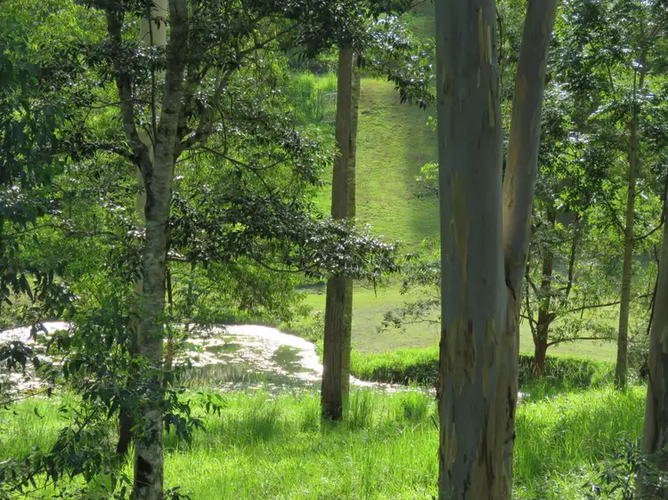 Second view of Homely rural property listing, 707 Bellingen Road, Missabotti NSW 2449