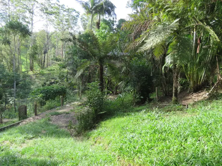 Fourth view of Homely rural property listing, 707 Bellingen Road, Missabotti NSW 2449