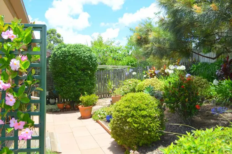11-12 Fig, Maleny QLD 4552