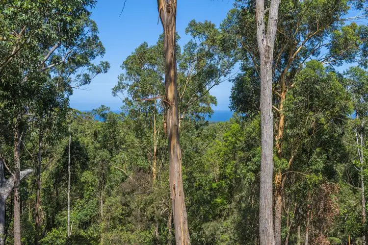 Fifth view of Homely land listing, Lot 702 Bowerbird Lane, Valla NSW 2448