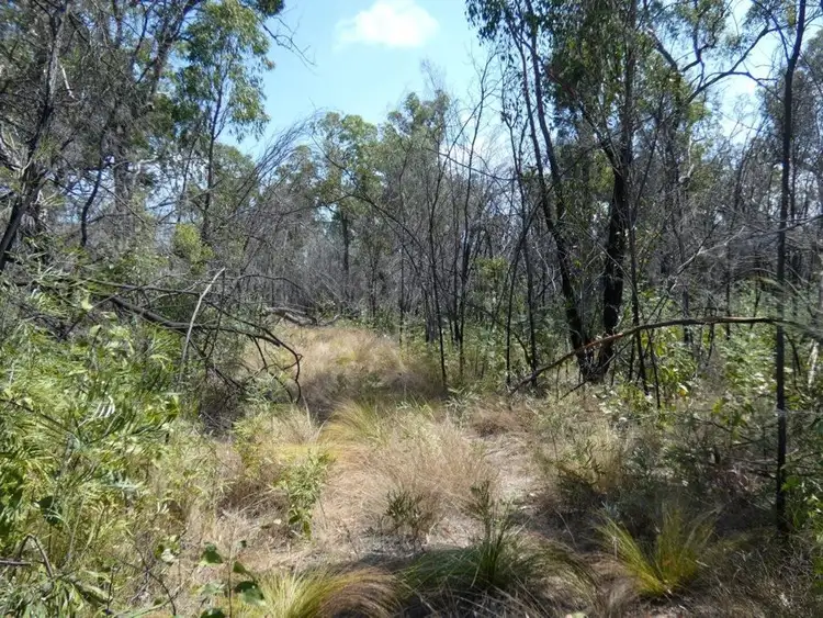 Second view of Homely rural property listing, 641 Capricornia Drive, Deepwater QLD 4674