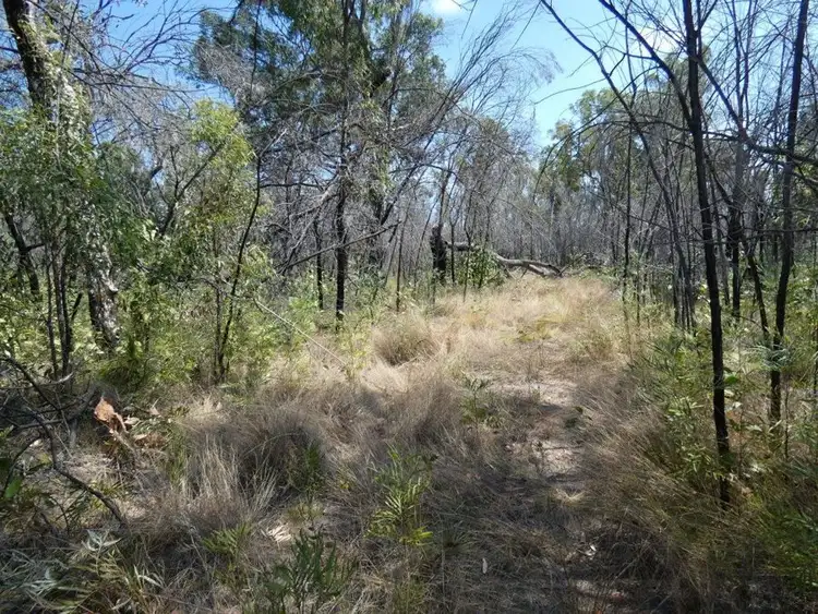 Third view of Homely rural property listing, 641 Capricornia Drive, Deepwater QLD 4674