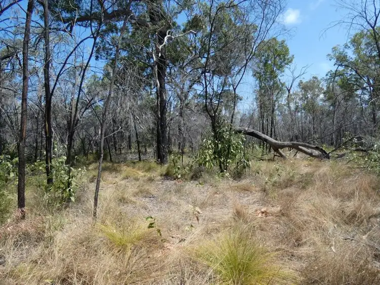 Fourth view of Homely rural property listing, 641 Capricornia Drive, Deepwater QLD 4674